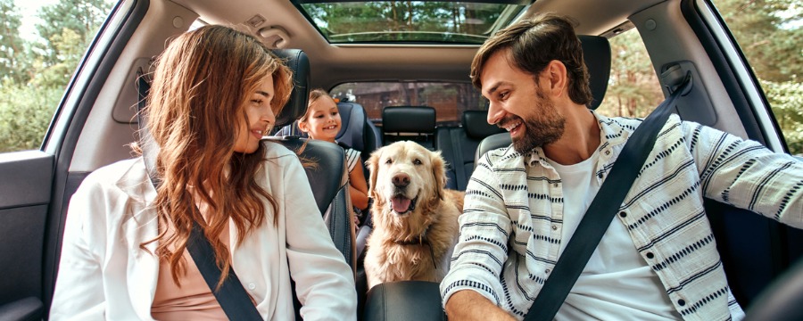 Auto Loans Auto Loans